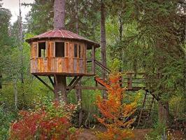 DIY Treehouse Ideas capture d'écran 3