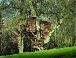 DIY Treehouse Ideas capture d'écran 1