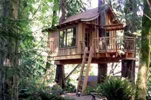 2 Schermata DIY Treehouse Ideas