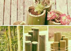 DIY bamboo projects capture d'écran 3