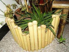 DIY bamboo projects capture d'écran 1