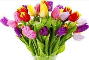 DIY Bouquet Flores Ideas imagem de tela 1
