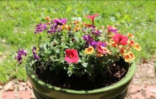 DIY Homemade Flower Pot Rock 스크린샷 2