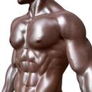 APK Shoulder workout for men:Free