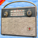 RADIO WITHOUT NET PRANK APK