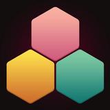 1010 Hexagon Grid Fit Puzzle أيقونة
