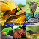 Daftar Fauna Indonesia Lengkap APK