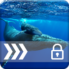 Blue Whale PIN Security Lock icon