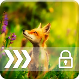 Fox Animal PIN Lock