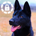 Black German Shepherd Dog Phone Lock Password simgesi
