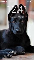Black German Shepherd Dog Phone Lock Password poster