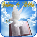 Psalms of the Bible APK