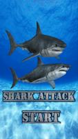 Shark Attack Affiche