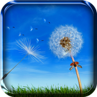 Dandelion Live Wallpaper simgesi