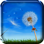 Dandelion Live Wallpaper icon