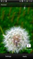 Dandelion Live Wallpaper اسکرین شاٹ 1