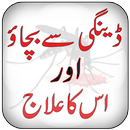 Dengue Virus Ka ilaj APK
