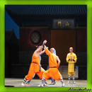 Best basic kung fu strategy APK