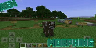 Morphing Mod for PE ポスター