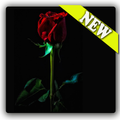 Dark Red Launcher