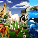 Zoo AR APK