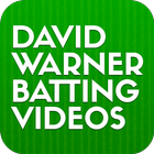 David Warner Batting Videos icône