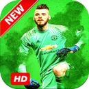 David de Gea Wallpapers APK