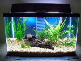 Decorating Ideas Aquarium-poster