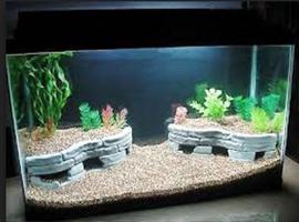 Decorating Ideas Aquarium capture d'écran 1