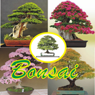 Decorative Plants Bonsai Zeichen