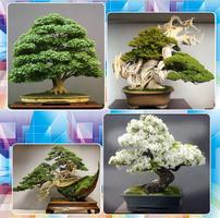 Decorative Plants Bonsai スクリーンショット 1