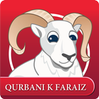 Qurbani icône