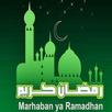 Ramadan Timmings 2016 APK