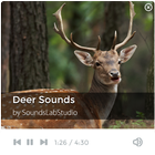 Deer Sounds ícone