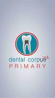 Dental Corpus PRIMARY Lite Plakat