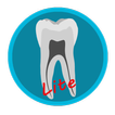 Dental Corpus ANATOMY Lite