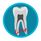 Dental Corpus ANATOMY Lite icône