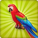 Parrot Calling and Sound APK