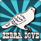 Zebra Dove Bird Calling Sounds icône