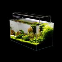 Desain Aquascape Aquarium 截圖 1