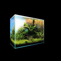 Desain Aquascape Aquarium screenshot 2