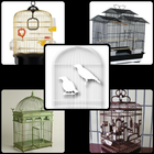 Desain of Bird Cage simgesi