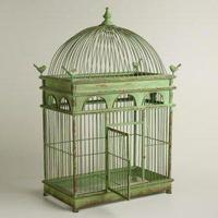 برنامه‌نما Desain of Bird Cage عکس از صفحه