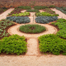 APK Design Of Vegetable Garden