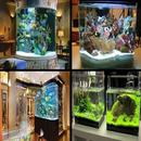 Aquarium Design Ideas APK