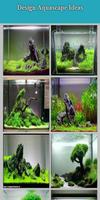 Design Aquascape Ideas poster