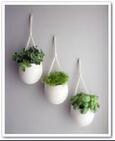 Design Best Planters capture d'écran 3