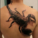 Design Tattoos On Backs APK