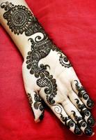 Indian Mehndi designs syot layar 2