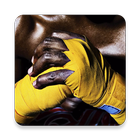 Icona Boxing Stars Wallpaper